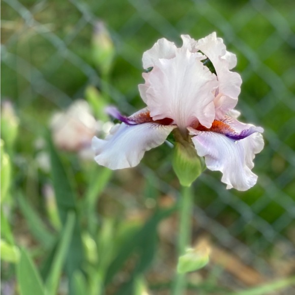 Meet your Posher :-) - Picture 15 of 17